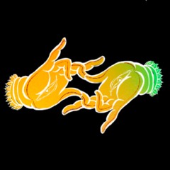Vacuity Records
