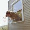 jumpinoutthewindow