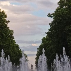_arii_16