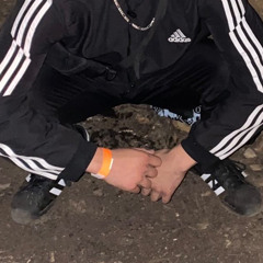 hxctorsensei