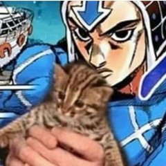 Reimi