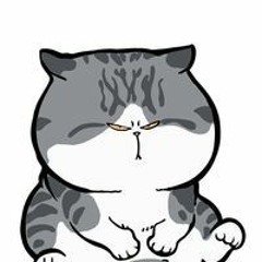 Đàm Võ Hoàng Lực