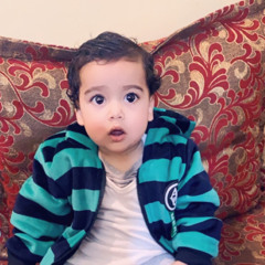 Syeda siddiqi