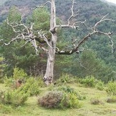 Jesus Agustín Díaz