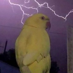 𝖌𝖆𝖇𝖔𝖜