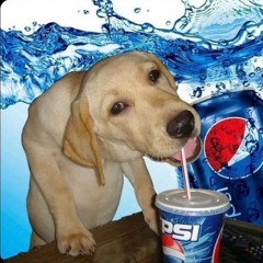 3333