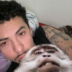 maurinho808