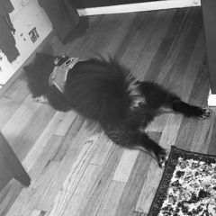 The Diamond City Backroom Boys