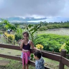 Hatitio Turereta