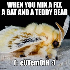 matrukin