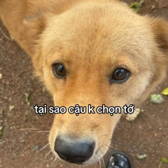 Ko Pin Duy