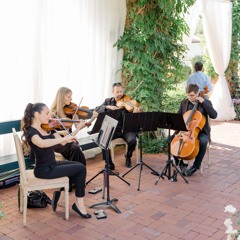Organic String Quartet