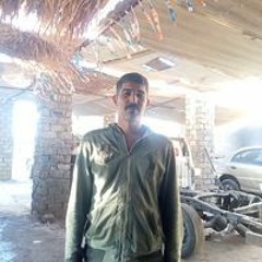 محمود سعيد