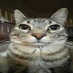 Егор мартынюк