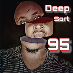 Deep Sort 95
