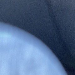 Scheintod