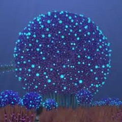 Koosh Boy YT
