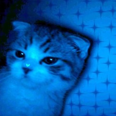 blukat