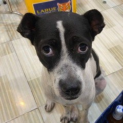 YÊU EM LA SAI LẦM