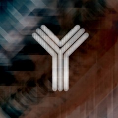 YILSO