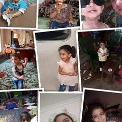 وائل مصطفى