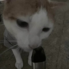Nhạc hay!!! Người đâu thưởng rau má!!!