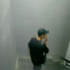 ary_mane