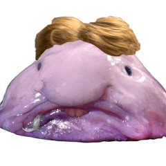 Blobfish