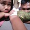 Arion