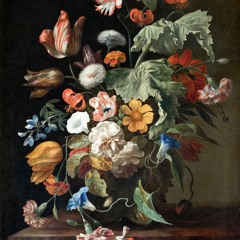bodecious