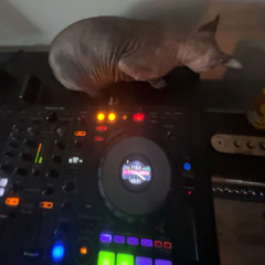 Dj Alan