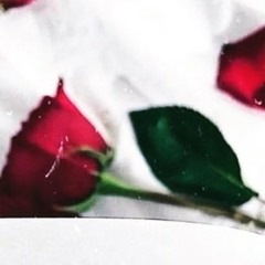 avatar_19