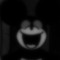 Teddy h