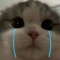 ( ｡ •̀ ᴖ •́ ｡)
