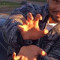 kwill