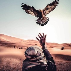 hOsam Salah