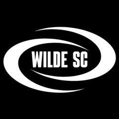 DJWILDE047