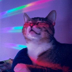 ғᴜᴄᴋ ᴀʀᴏᴜɴᴅ ᴀɴᴅ ғɪɴᴅ ᴏᴜᴛ