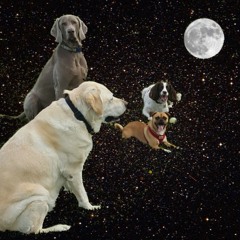 MoonDog