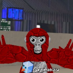 LucaGamer568