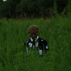 sincerelyboy