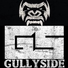 Gullyside S