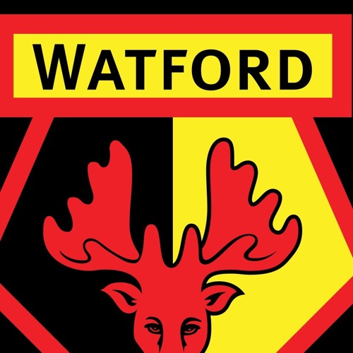Watford ollie’s avatar