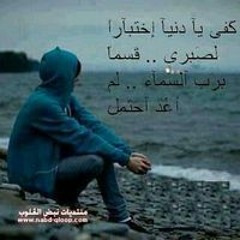 علاء مصطفى