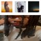 meech