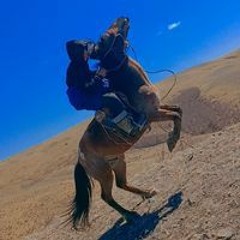 Хишгээ Хишгээ