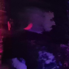 Reticent