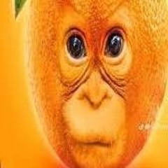 nomilr