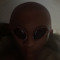 The-bizz24