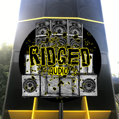 Ridged Audio